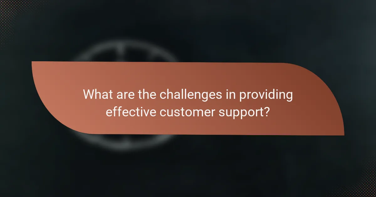 What are the challenges in providing effective customer support?
